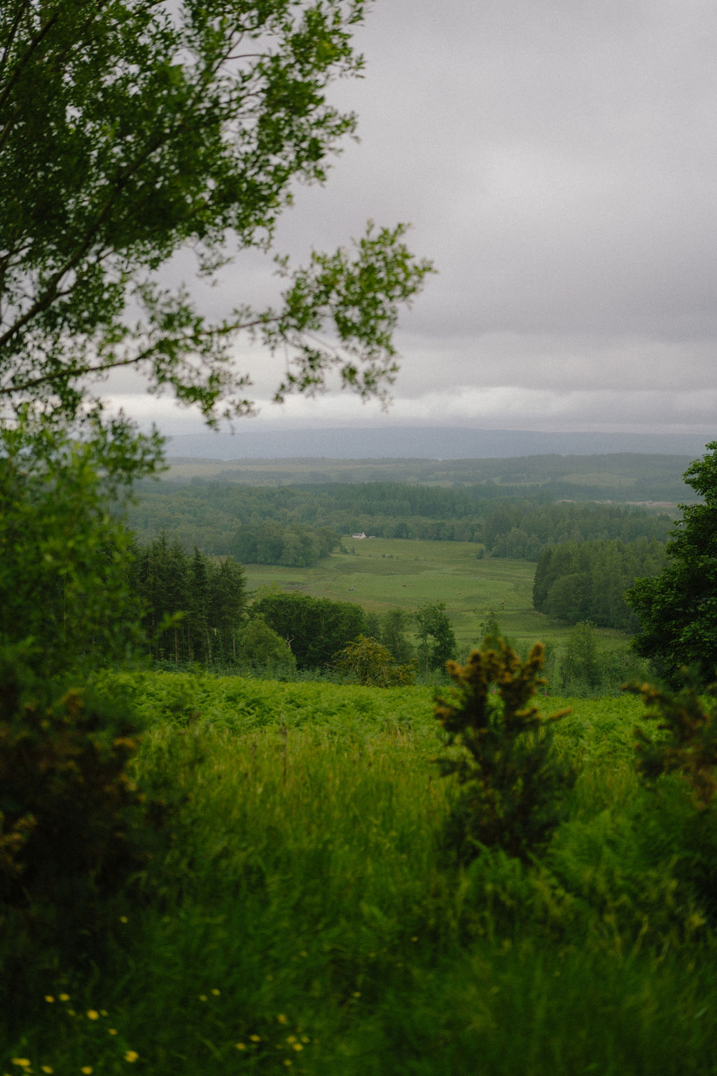 The decline of Gaelic in Menteith & Lennox